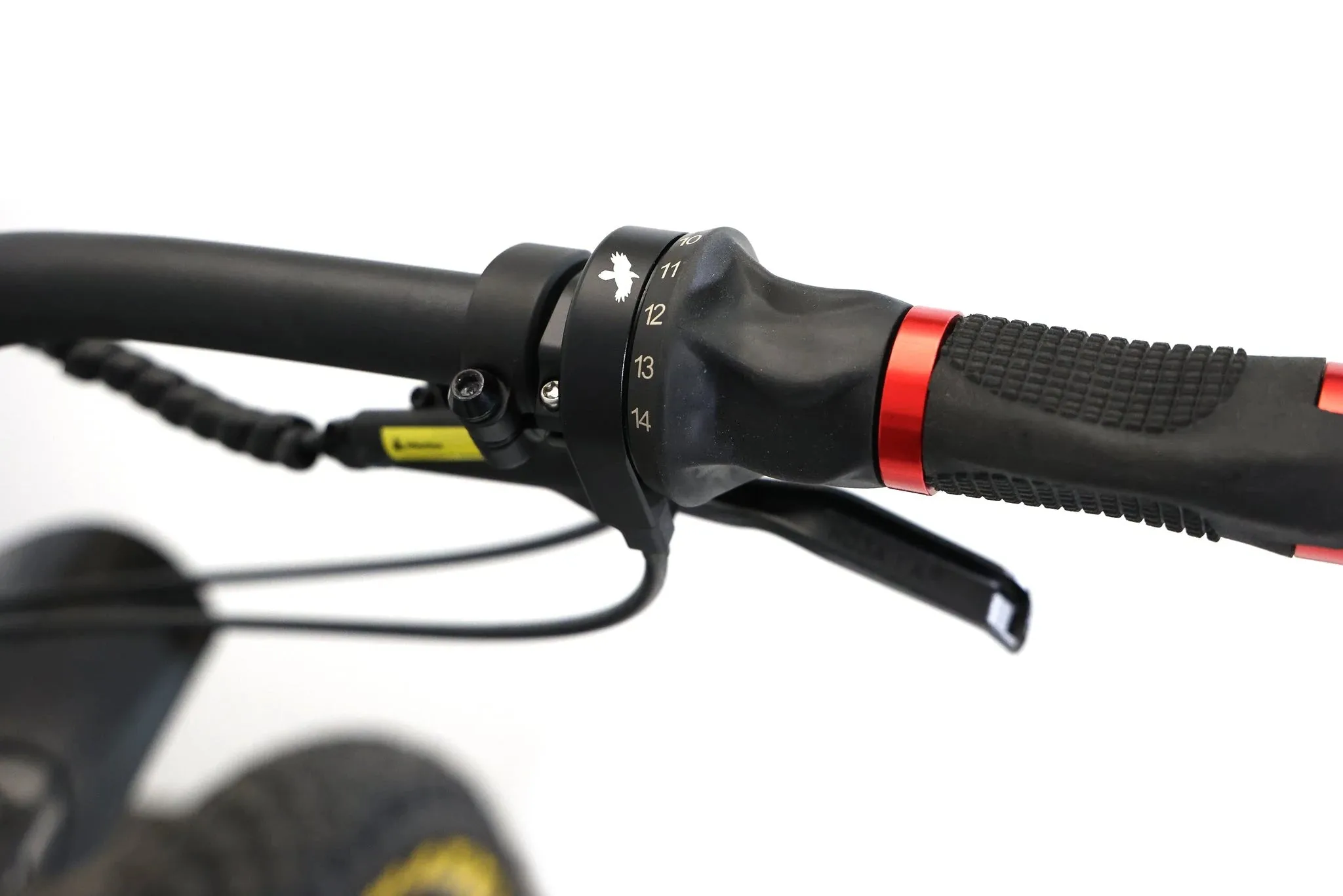 Bakcou Storm Jäger Electric Bike 48V, 750-1500W Smart Mid-Drive Motor Full Suspension